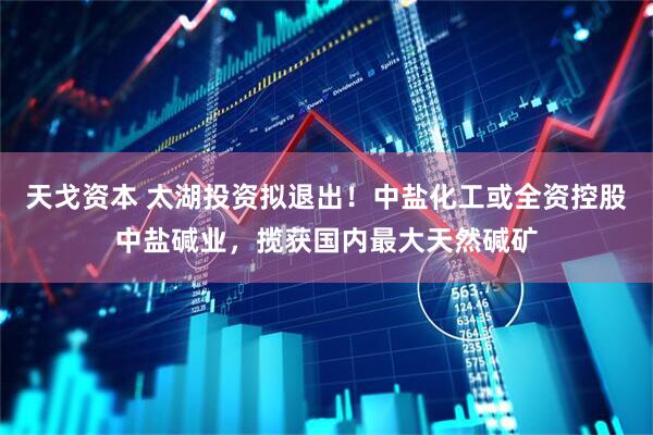 天戈资本 太湖投资拟退出！中盐化工或全资控股中盐碱业，揽获国内最大天然碱矿