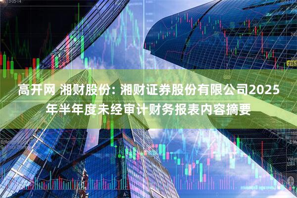 高开网 湘财股份: 湘财证券股份有限公司2025年半年度未经审计财务报表内容摘要