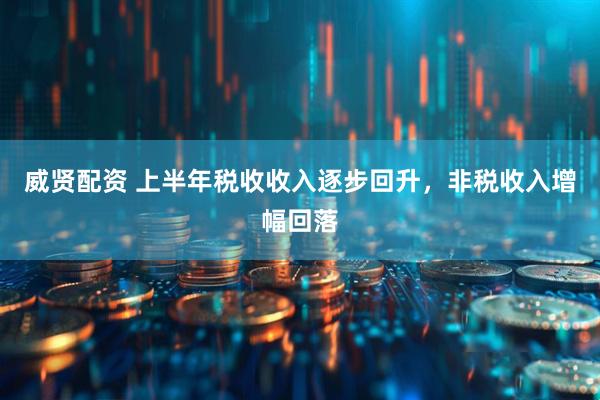 威贤配资 上半年税收收入逐步回升，非税收入增幅回落