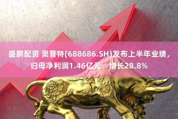 盛鹏配资 奥普特(688686.SH)发布上半年业绩，归母净利润1.46亿元，增长28.8%