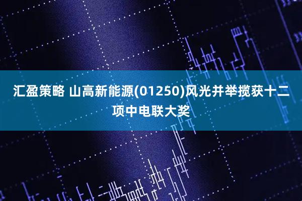 汇盈策略 山高新能源(01250)风光并举揽获十二项中电联大奖